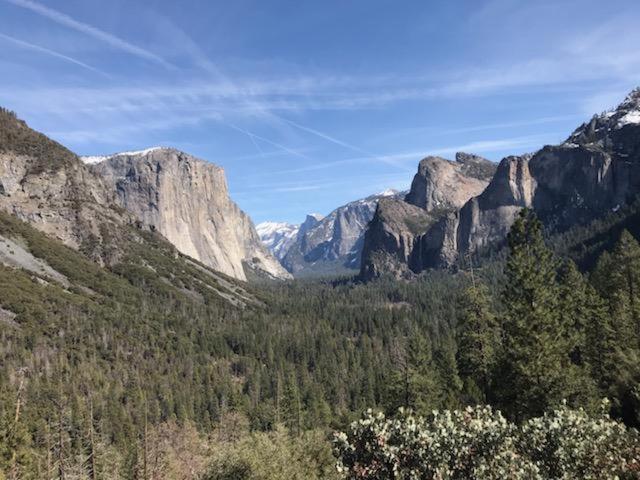 Yosemite Haven @ Pine Mountain Lake. Dog Friendly! グローヴランド エクステリア 写真