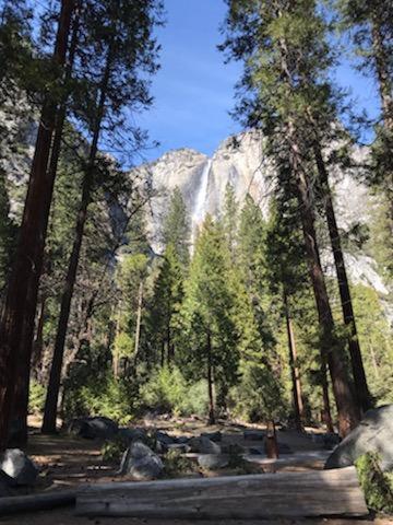 Yosemite Haven @ Pine Mountain Lake. Dog Friendly! グローヴランド エクステリア 写真